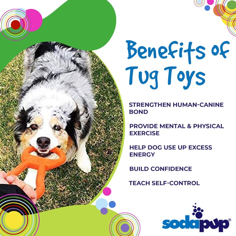 SodaPup Can Pull Tab â€“ Durable & Interactive Dog Tug Toy Made in USA from Non-Toxic, Pet Safe, Food Safe Natural Rubber Material for Bonding & Play Time, Mental & Physical Exercise, Training, & More - Image 4